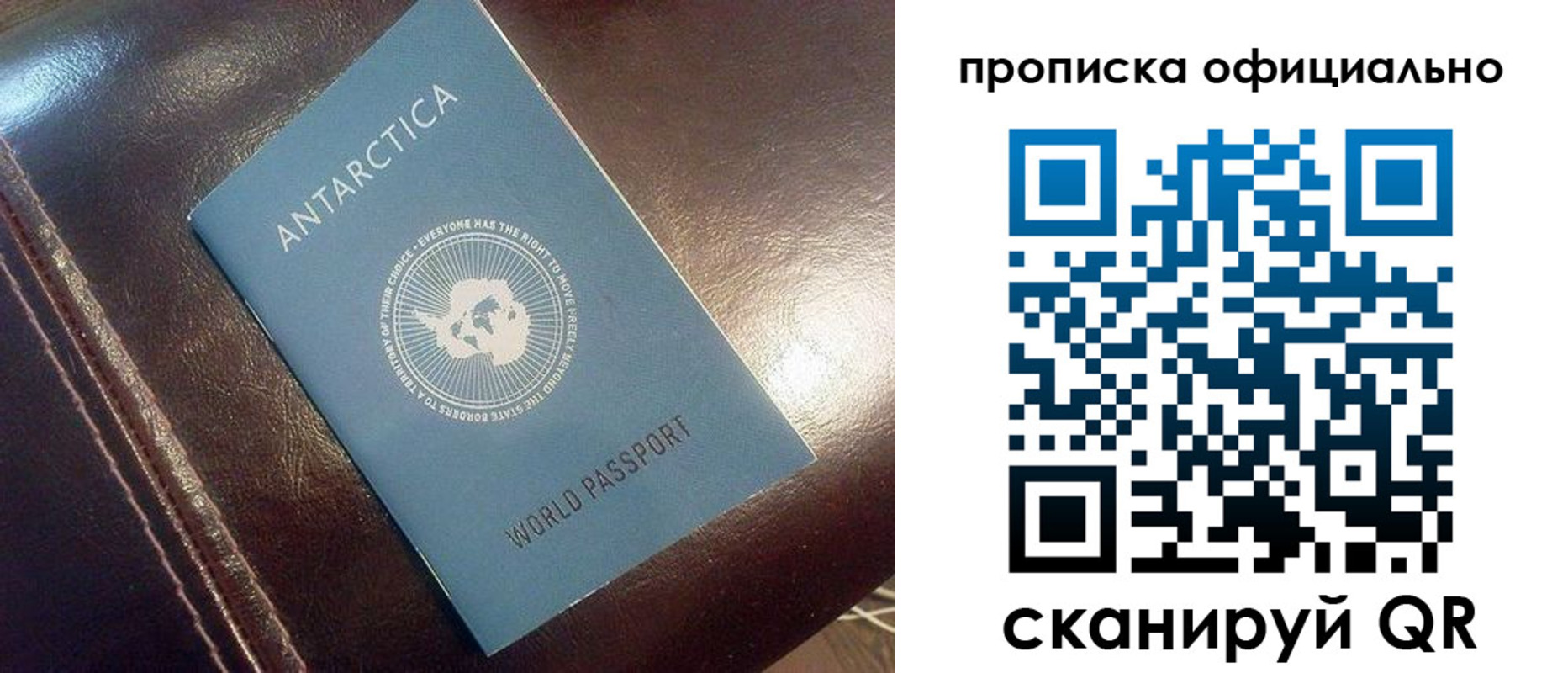 временная регистрация гарантия в Твери